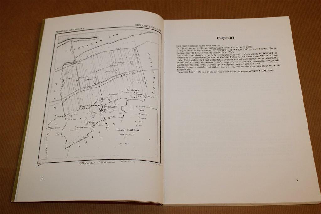 Fotoboek Usquert — Dorpsgeschiedenis in Beeld 1982, Boeken, Ophalen of Verzenden, Gelezen