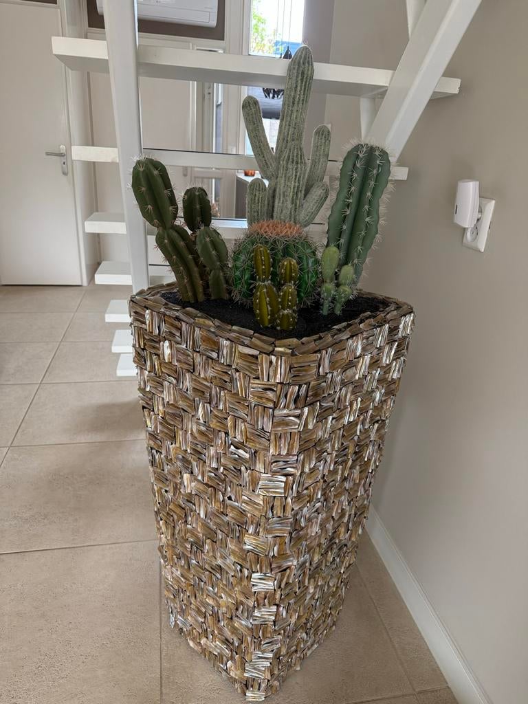 Schelpenvaas met kunst cactussen - Nieuwe staat, Ophalen, Binnen, Groen, Kunstplant