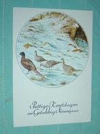 24) Kleuren ansichtkaart  Vogels, Ophalen of Verzenden, 1980 tot heden, Gelopen, Vogel
