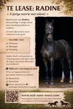 PAARDENPLEZIER IN EDE!  lease /rijles