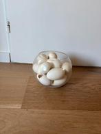 Verzameling 16x lege Canadese gans eieren, Ophalen, Zo goed als nieuw, Vogel, Overige typen