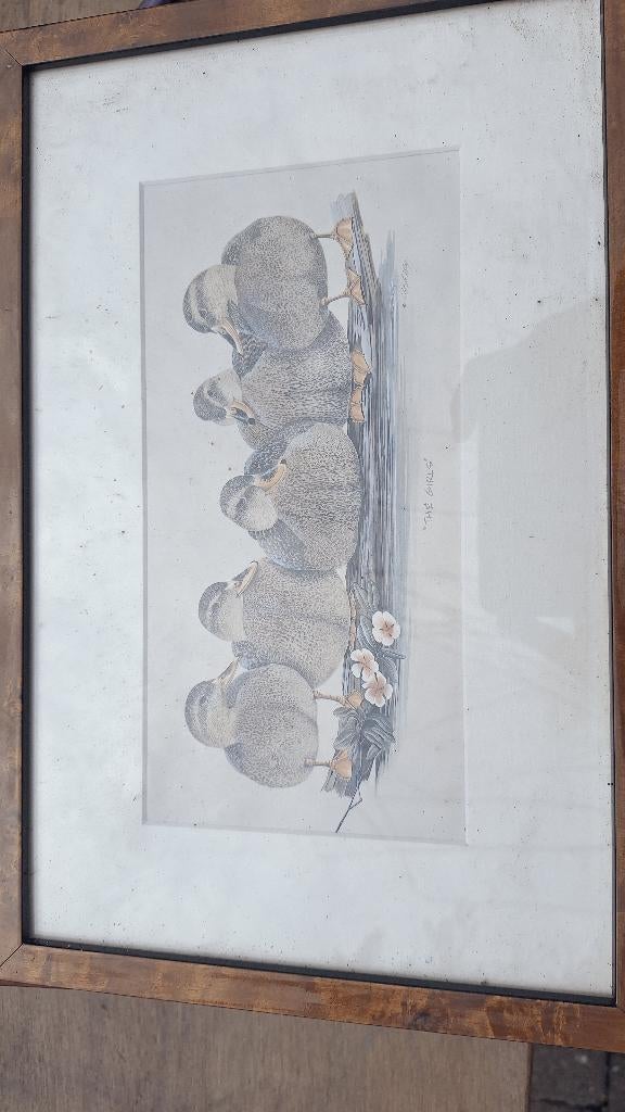 Natuur print, Antiek en Kunst, Ophalen of Verzenden