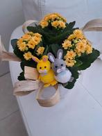 Pasen, Ophalen, Nieuw