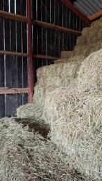 Hooibaaltjes van natuurlijk grasland 5 euro per baal, Dieren en Toebehoren, Dierenvoeding, Ophalen, Vee