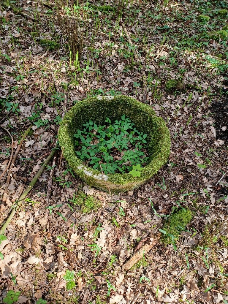 Bloembak, Gebruikt, Minder dan 30 cm, Rond, Ophalen of Verzenden