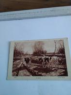 A.M. GORTER.   EN ROUTE.  KOEIEN, Ophalen of Verzenden, Voor 1920