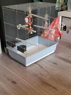 Vogelkooi, Ophalen, Metaal, Vogelkooi