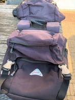 FastRider Dubbele Fietstas - Paars/Zwart, Ophalen of Verzenden, Gebruikt