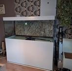 Groot wit aquarium 160x70x60 720 liter, Ophalen, Zo goed als nieuw, Leeg aquarium