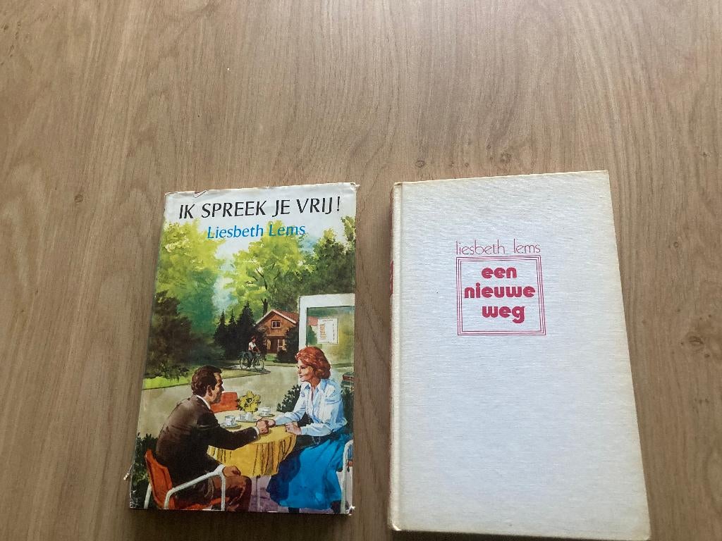2 boeken Liesbeth Lems, Boeken, Ophalen of Verzenden, Gelezen