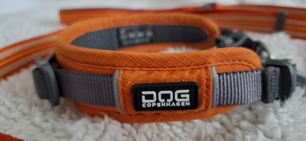 Dog Copenhagen Urban set Oranje, halsband XS 28-34 cm, 3cm, Ophalen of Verzenden, Zo goed als nieuw
