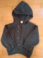 Warm vestje, maat 92, Hema, Ophalen of Verzenden, Zo goed als nieuw, Meisje, Trui of Vest