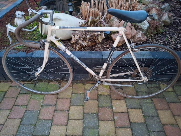 Vintage Batavus Intercycle racefiets, Fietsen en Brommers, Fietsen | Racefietsen, Gebruikt, Batavus, Staal, 53 tot 57 cm, Ophalen