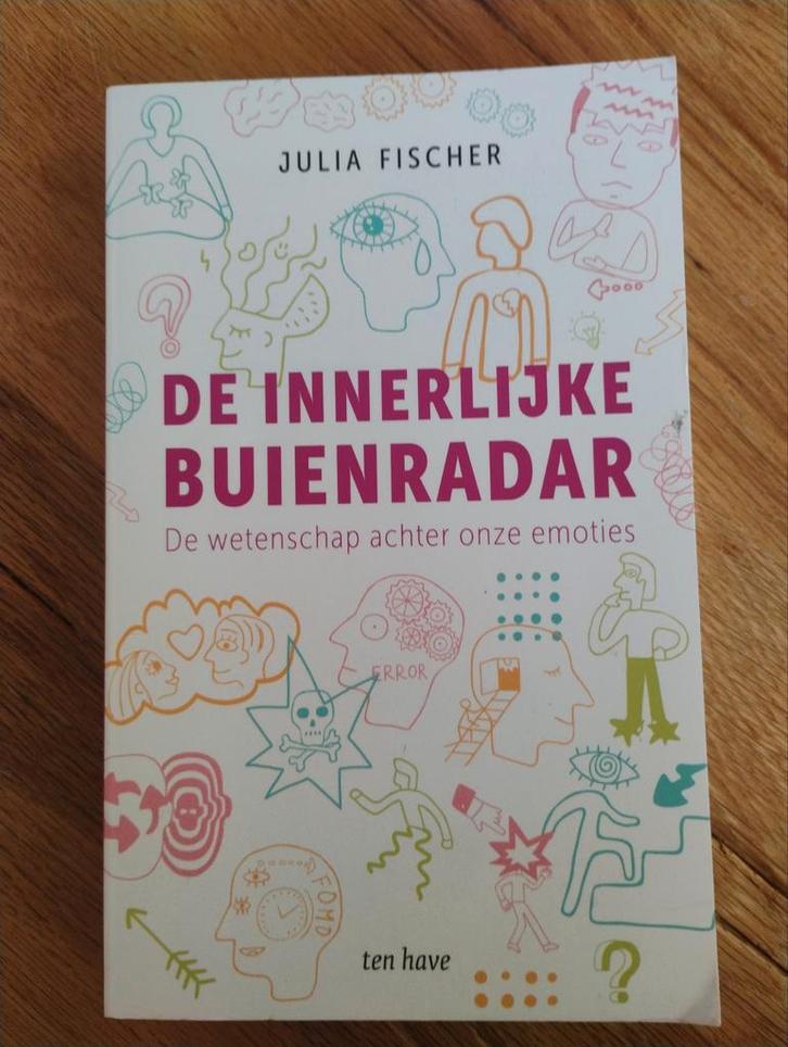 De Innerlijke Buienradar - Julia Fischer (Boek), Boeken, Overige Boeken, Zo goed als nieuw, Ophalen of Verzenden