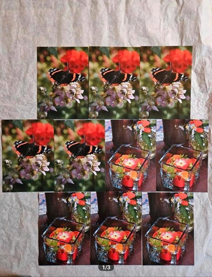 Anneke Bleeker ansichtkaarten set 2, Verzamelen, Ansichtkaarten | Nederland, 1980 tot heden, Ophalen of Verzenden