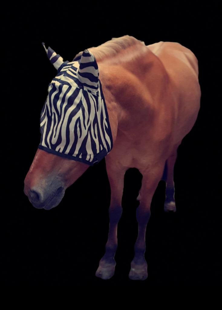 Vliegenmasker cob, Dieren en Toebehoren, Ophalen of Verzenden