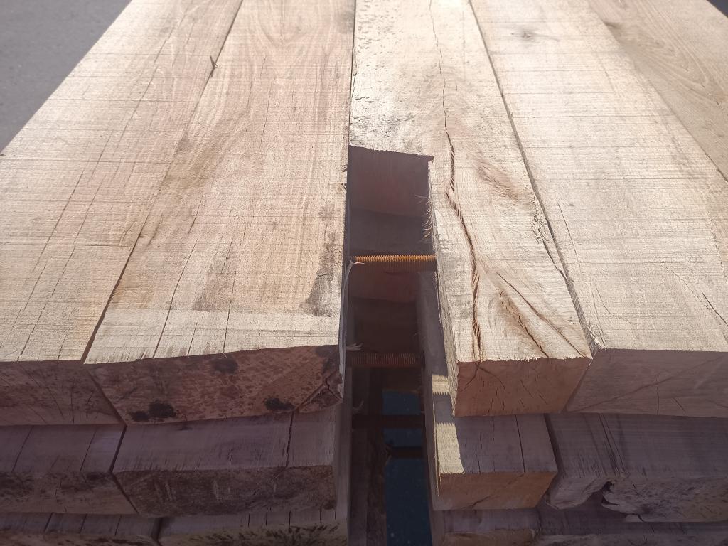 Draglineschot beuken voor loopbrug schotten 100x500 cm, Doe-het-zelf en Verbouw, Hout en Planken, Nieuw