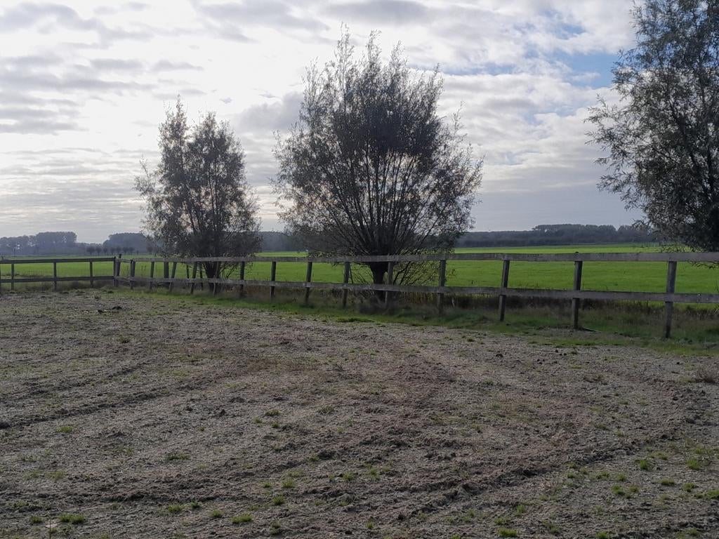 Paardenbak 20x40m paddock hardhouten planken palen, Ophalen, Gebruikt, Palen, Hardhout