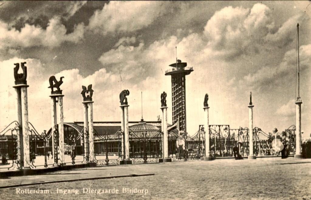 Rotterdam - Diergaarde Blijdorp - Ingang, Ophalen of Verzenden, 1940 tot 1960, Gelopen, Zuid-Holland