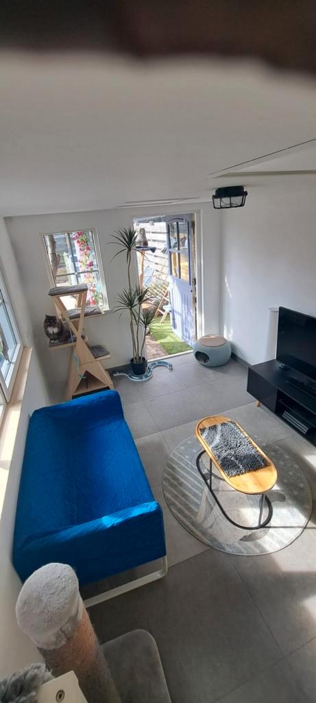 Prive  kattenpension, Dieren en Toebehoren, Katten en Kittens | Overige Katten