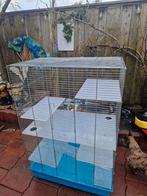 Knaagdieren of fretten kooi, Dieren en Toebehoren, Kooi, Hamster, Minder dan 75 cm, Ophalen of Verzenden