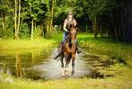 Fijne sportpaarden te koop van de fokker!, Dieren en Toebehoren, Paarden, Met stamboom, Dressuurpaard, 3 tot 6 jaar, L