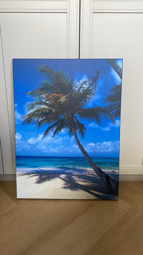 Tropisch canvas schilderij, Ophalen, Zo goed als nieuw, Schilderij, 75 cm of meer