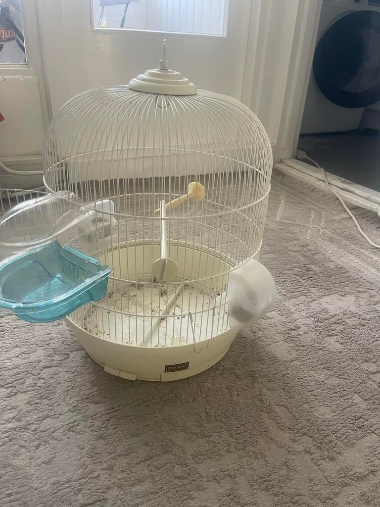 Bird cage, Ophalen of Verzenden, Hout, Vogelkooi