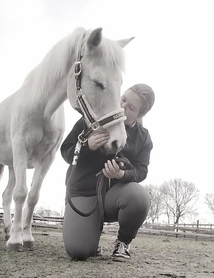 Verzorg pony/paard gezocht, Ophalen of Verzenden, Nieuw, Overige soorten