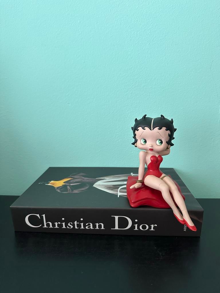 DISPLAY BOEK - Decoratieboek | Modern | Pop Art | Dior, Ophalen of Verzenden, Zo goed als nieuw