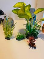Aquarium decoratieset: 4 planten + 3 stenen (Heevis), Ophalen of Verzenden, Zo goed als nieuw, Plant(en), Steen of Hout