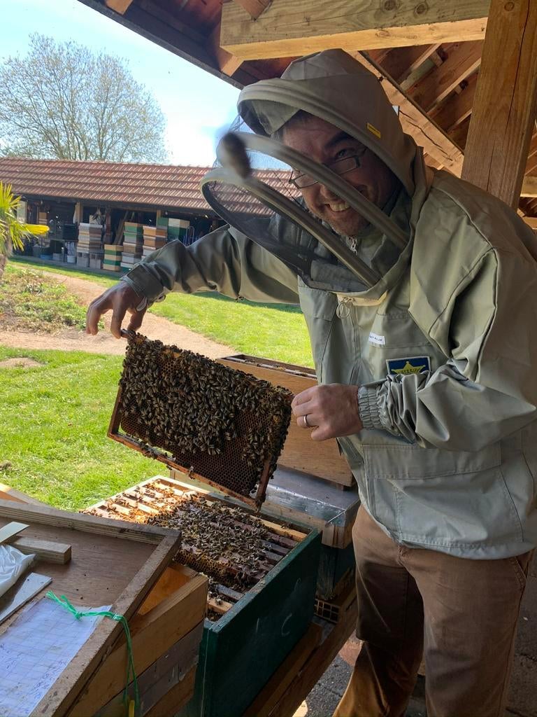 Bijenvolk gezocht, Bijen