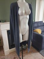 Anna lange cardigan vest vestje M 38 40, Maat 38/40 (M), Grijs, Gedragen, Anna