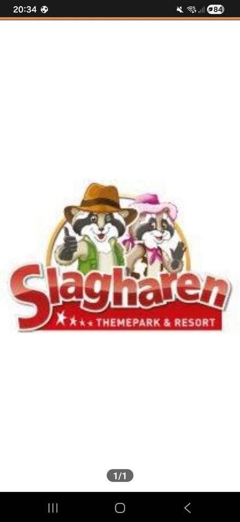 Tickets ponypark Slagharen 2 stuks, Drie personen of meer, Ticket of Toegangskaart