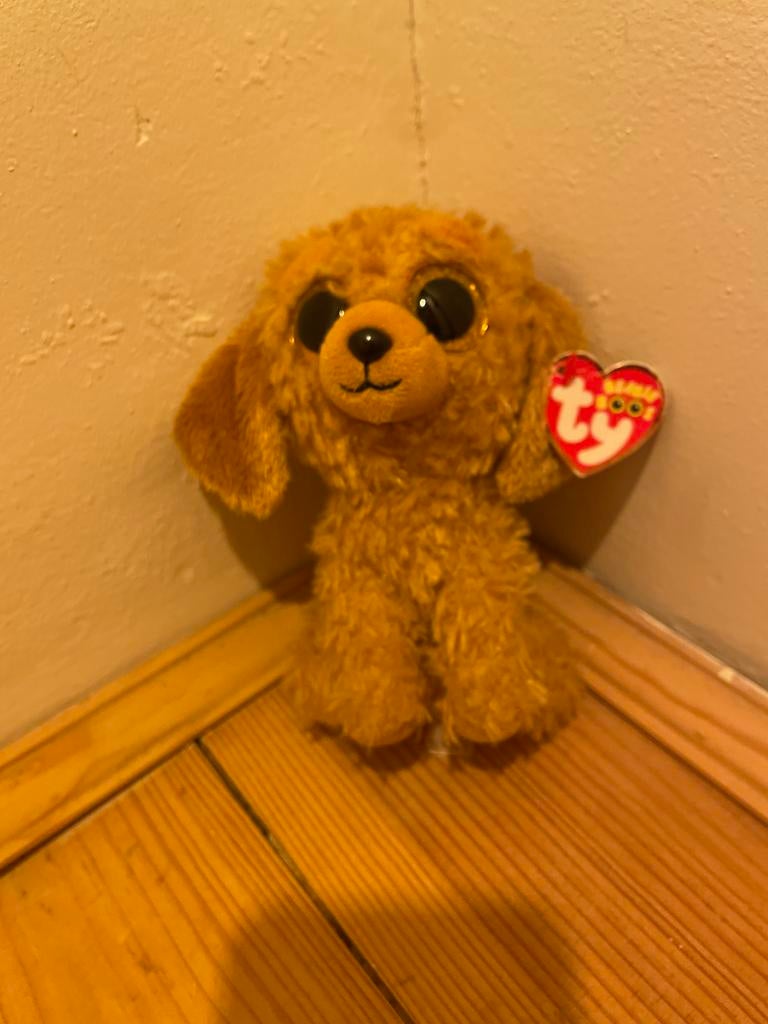 Ty Beanie Boo's knuffel hond Noodles, Kinderen en Baby's, Speelgoed | Knuffels en Pluche, Ophalen, Hond, Bruin, Ty