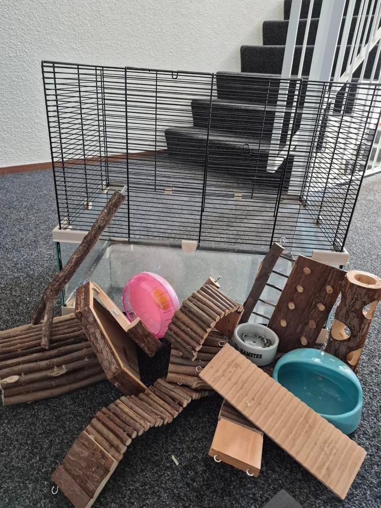 Ferplast karat 60 knaagdieren kooi, Dieren en Toebehoren, Knaagdieren en Konijnen | Hokken en Kooien, Ophalen, Minder dan 75 cm