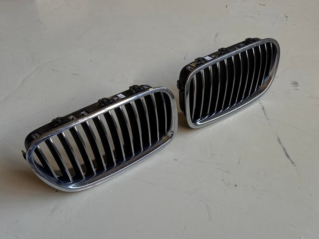 Chrome nieren BMW 5 F10-11 serie, Ophalen of Verzenden, Nieuw, BMW