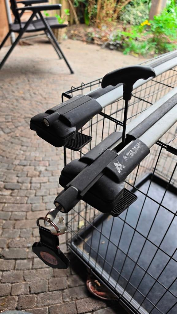 Dakdragers Aguri Prestige voor Peugeot 2008 SUV 2013-2019, Ophalen