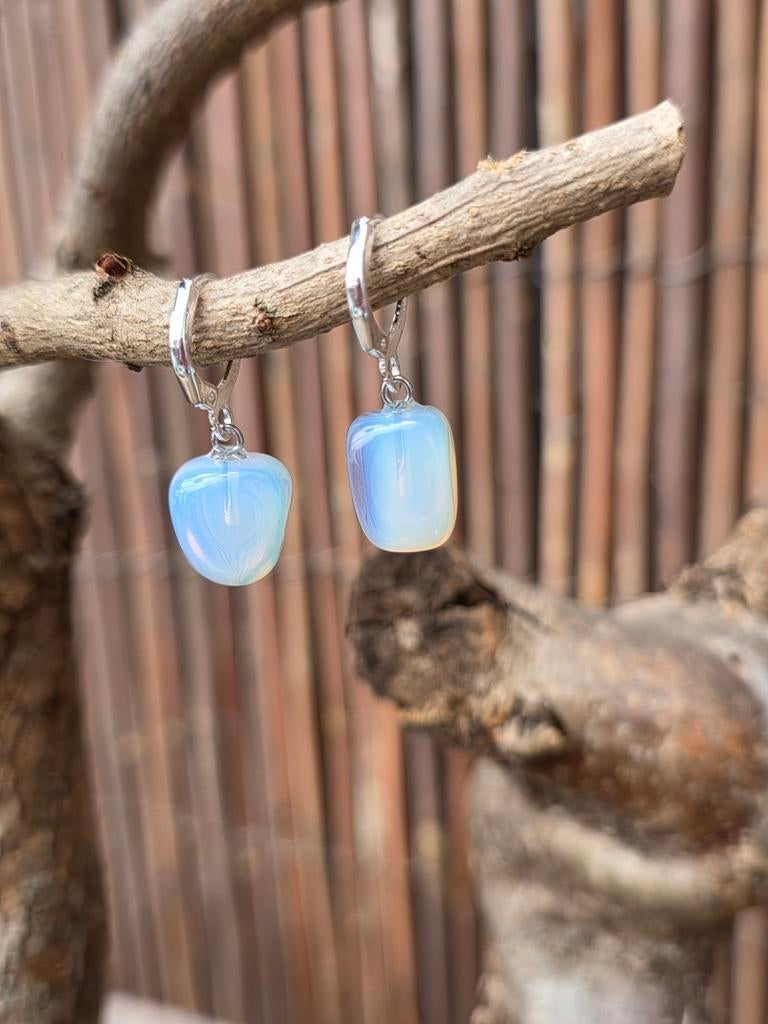 Zilver oorbellen, Ophalen of Verzenden, Nieuw, Zilver, Zilver