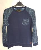 Mooie blauwe CARS sweater in maat 12/152., Kinderen en Baby's, Kinderkleding | Maat 152, Gebruikt, Verzenden, Trui of Vest, Cars