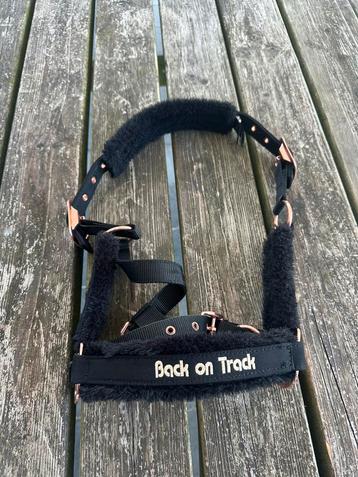 Back on Track halster pony beschikbaar voor biedingen