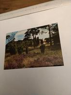 GROETEN UIT. DE BIKKELS, Ophalen of Verzenden