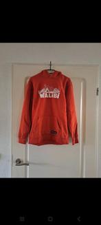 Walibi hoodie, Walibi, Ophalen of Verzenden, Zo goed als nieuw, Rood