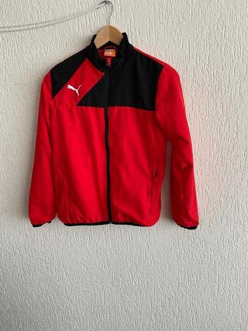 Puma jack 152 beschikbaar voor biedingen