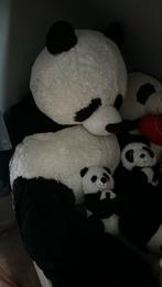 Mega Panda Knuffel Lifesize, Ophalen of Verzenden, Beer, Zo goed als nieuw