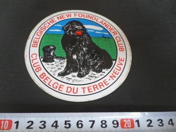sticker belgische new foundlander club strip hond beschikbaar voor biedingen