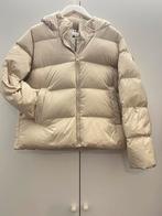 Tommy Hilfiger Nieuwe Dames Donsjas, Kleding | Dames, Jassen | Winter, Ophalen of Verzenden, Nieuw, Maat 46/48 (XL) of groter