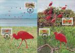 WWF set maxikaarten van de Rode Ibis, Ophalen of Verzenden, Gestempeld, Dier of Natuur