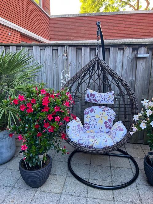 Rijoka hangstoel Eggy Deluxe, Tuin en Terras, Tuinstoelen, Zo goed als nieuw, Rotan, Ophalen