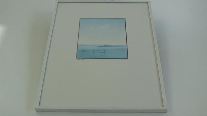 MOOIE ZEEFDRUKKEN VAN ALLES WAT, Antiek en Kunst, Kunst | Litho's en Zeefdrukken, Ophalen of Verzenden